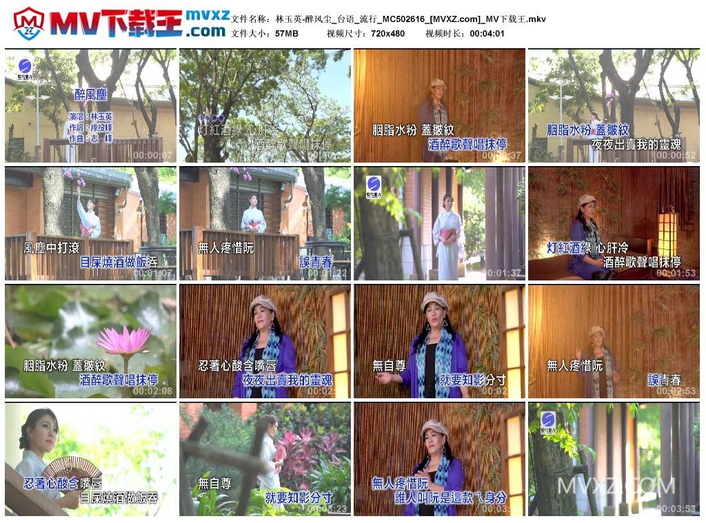 林玉英-醉风尘_台语_流行_MC502616
